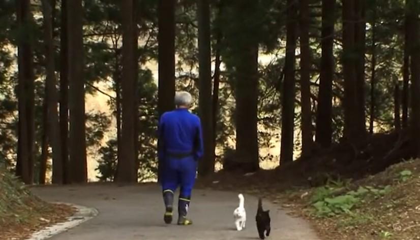「ナオト、いまもひとりっきり」イメージ画像。森の中を歩く人と猫2匹